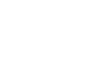 ANVR logo wit